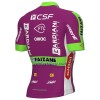 Wielershirt 2022 Bardiani-CSF Faizane - Lila Groen